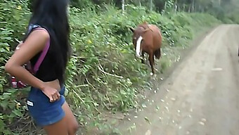 Teen (18+) Recibe Una Corrida De La Polla De Un Caballo