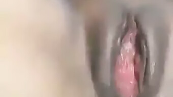 Black Amateur Enjoys Cumshot In His Butt