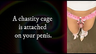 Training And Discipline For Male Chastity