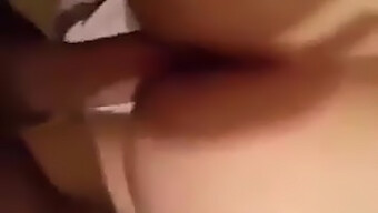 Arabian Escort With A Big Cock In A Homemade Video From Algeria