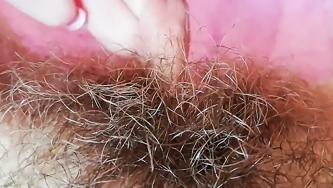 Close-Up Of A Hairy And Wet Pussy With A Big Clit